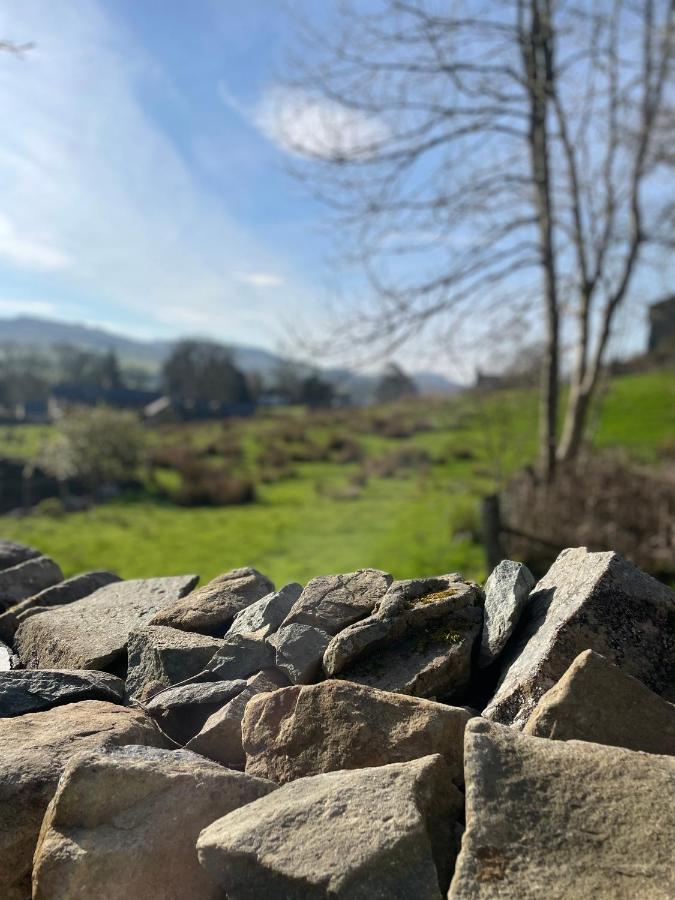 Trawsfynydd Stone Cottage エクステリア 写真